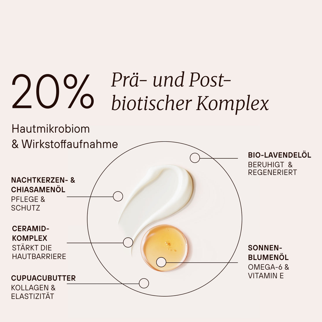Fermented Repair Night Cream