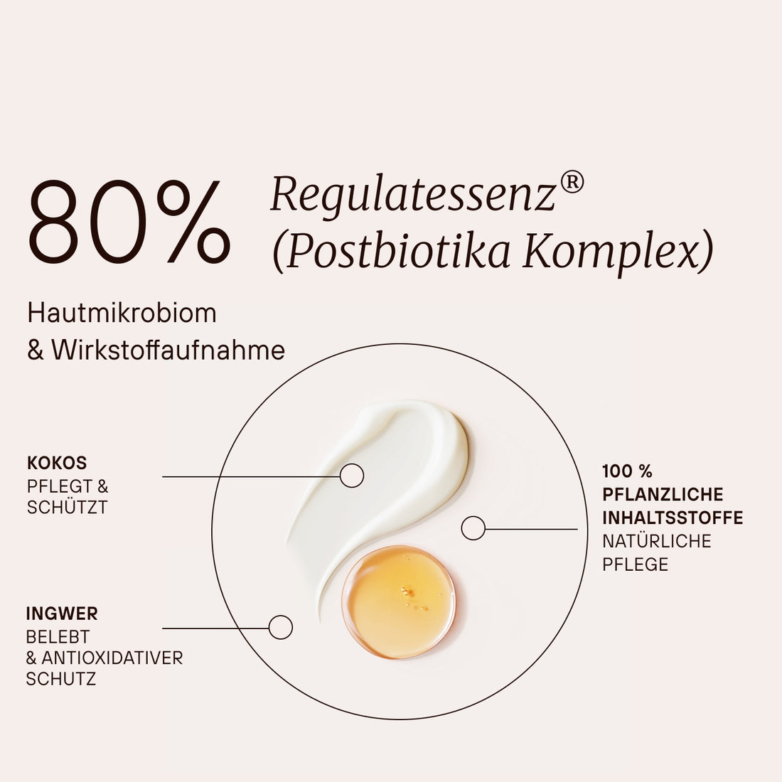 80 % Regulatenessessenz® (Postbiotika Komplex) für Hautmikrobiom und Wirkstoffaufnahme.