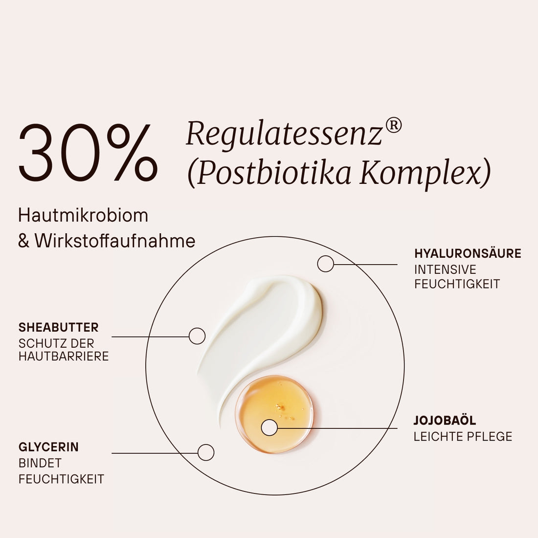 Regulat® Skin Energy Mousse