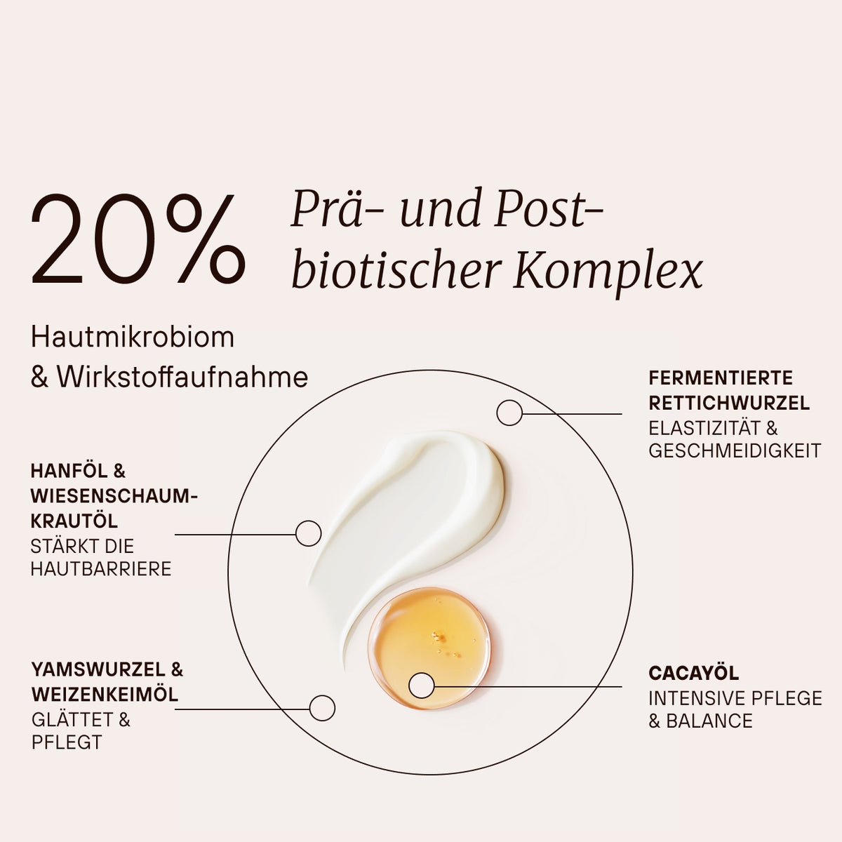 Fermented Extra Rich Cream mit 20 Prozent prä- und postbiotischem Komplex für Hautmikrobiom und Wirkstoffaufnahme