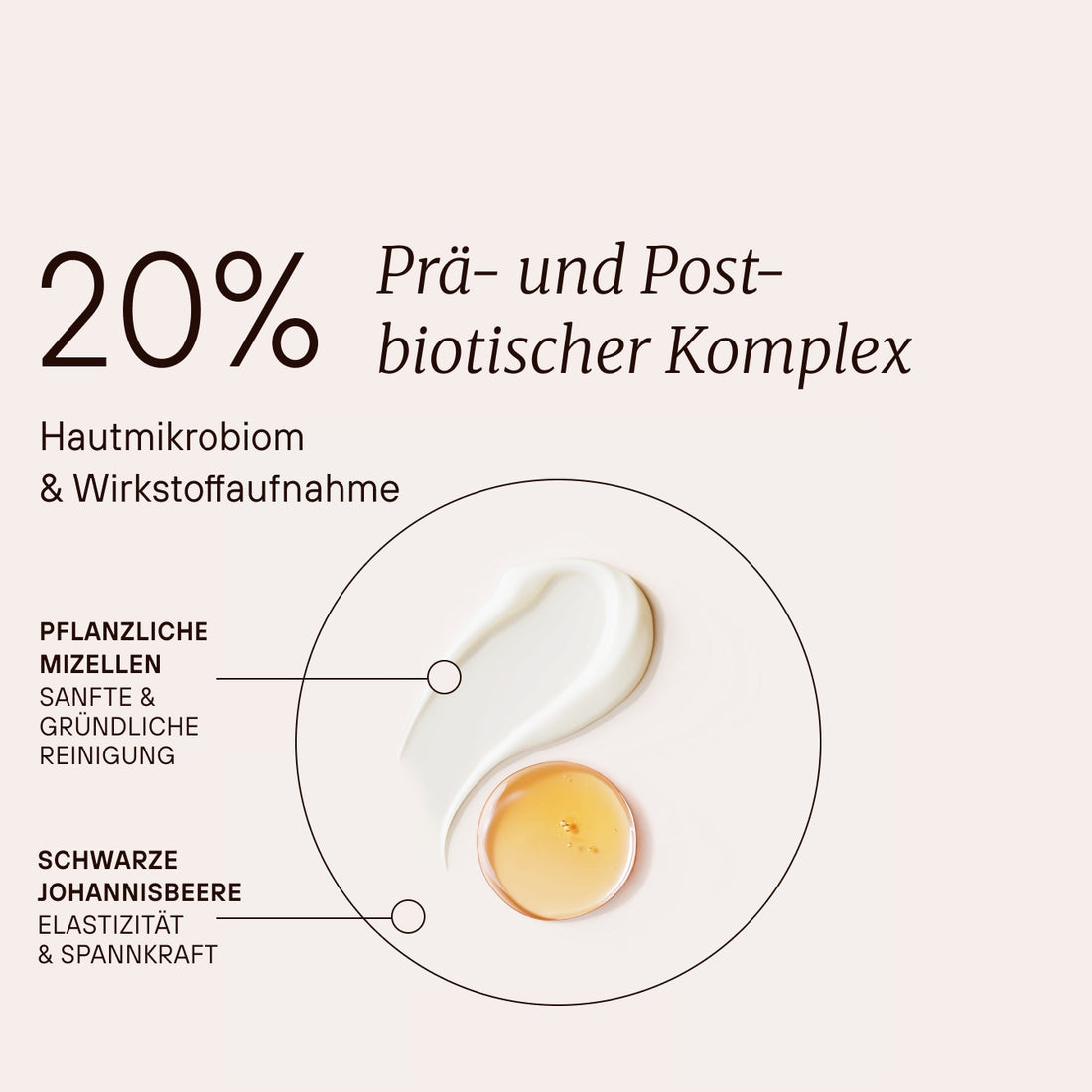 Fermented Gentle Cleansing Foam
