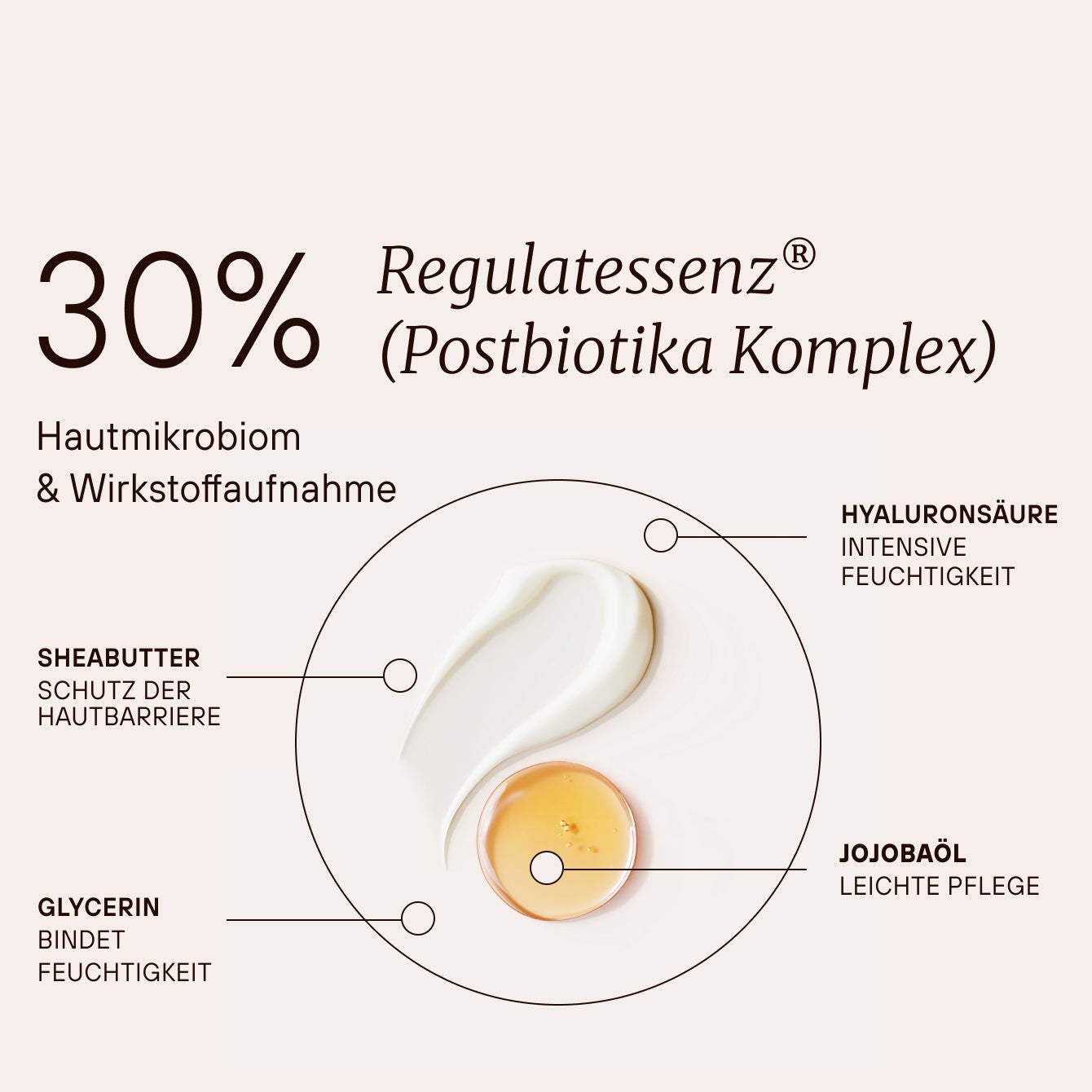 30 % Regulatenessenz® (Postbiotika Komplex) mit Hyaluronsäure, Sheabutter, Glycerin und Jojobaöl.