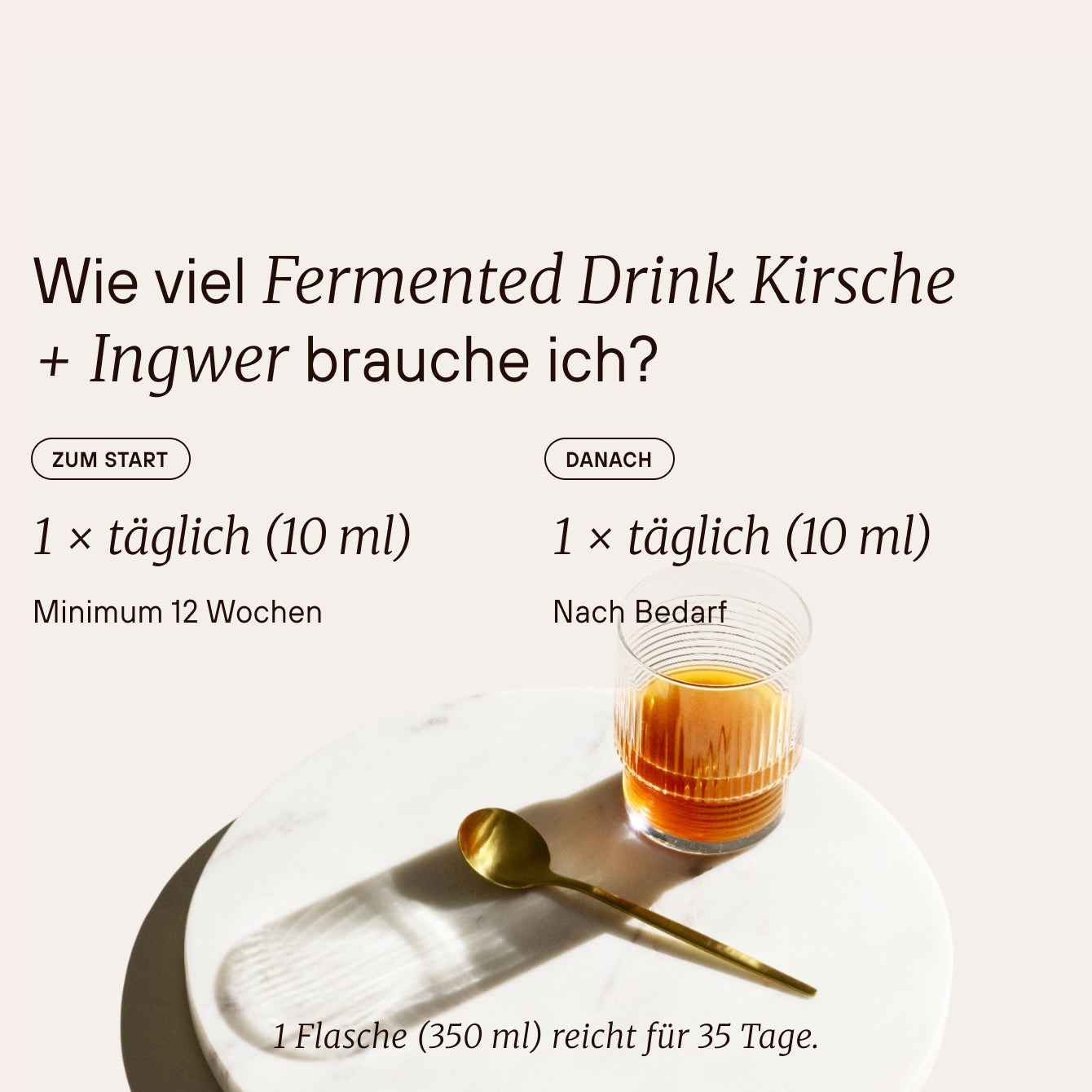 Fermented Drink Kirsche + Ingwer mit Manuka Honig 350 ml